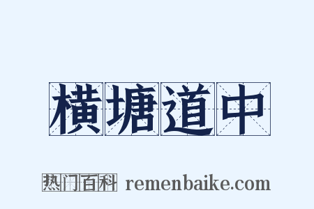 横塘道中是什么意思的图片